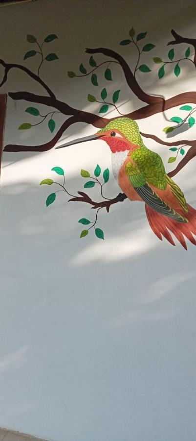 Sierra Kay Hostel Guachaca المظهر الخارجي الصورة